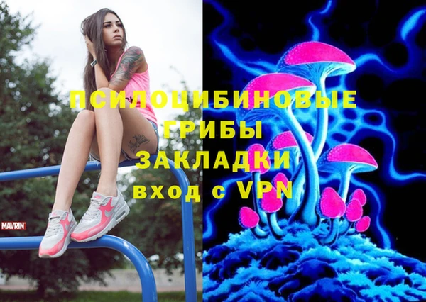 винт Майский