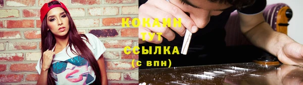 винт Майский