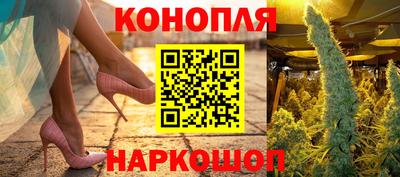 сатива Бийск