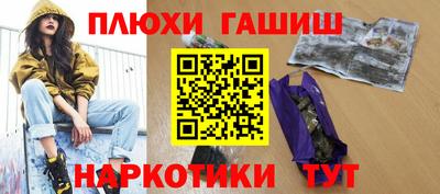 сатива Бийск