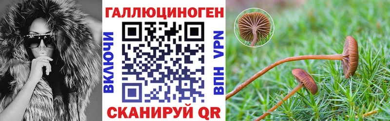 Псилоцибиновые грибы прущие грибы  Брянск 