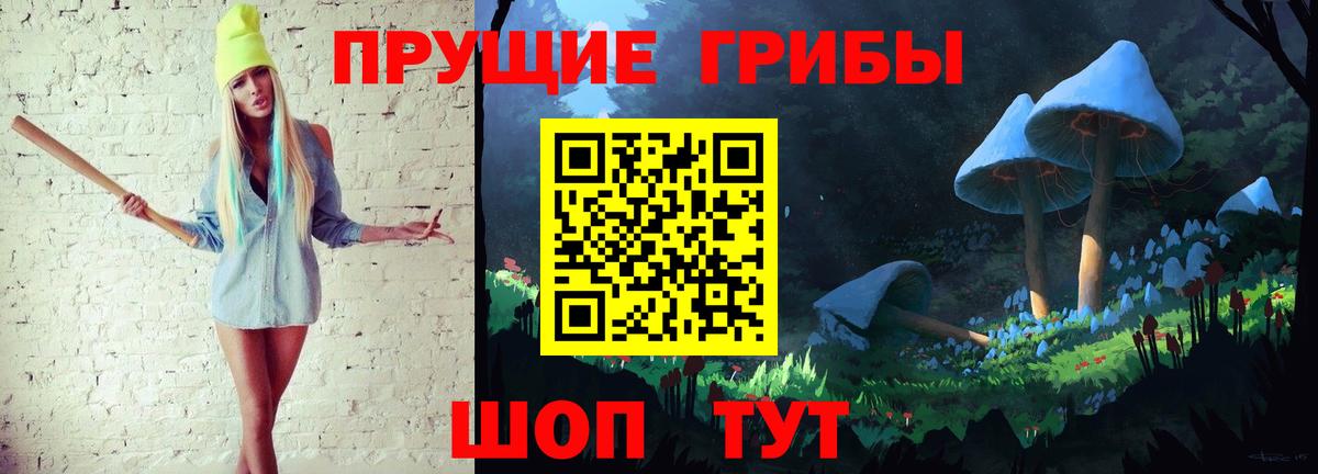 Псилоцибиновые грибы мицелий Брянск