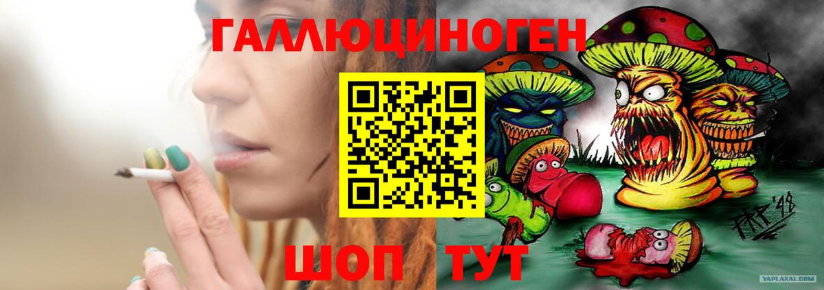 Брянск  Псилоцибиновые грибы мицелий  купить наркотик  Вход с VPN 